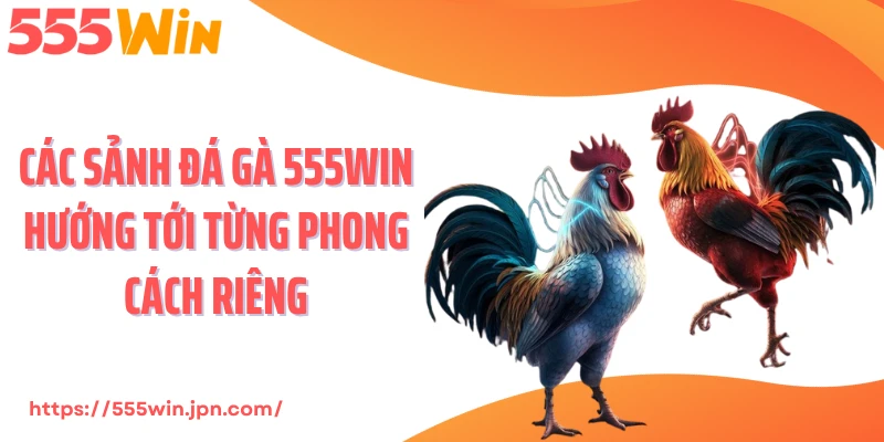 Các sảnh đá gà 555Win hướng tới từng phong cách riêng