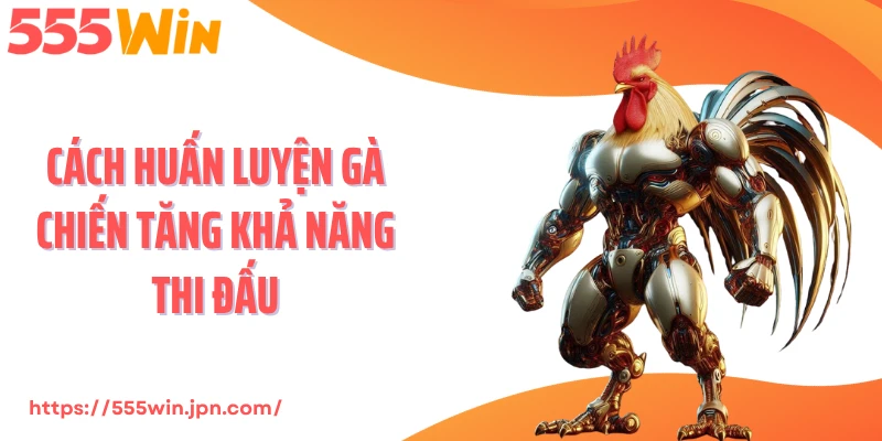 Cách huấn luyện gà chiến tăng khả năng thi đấu