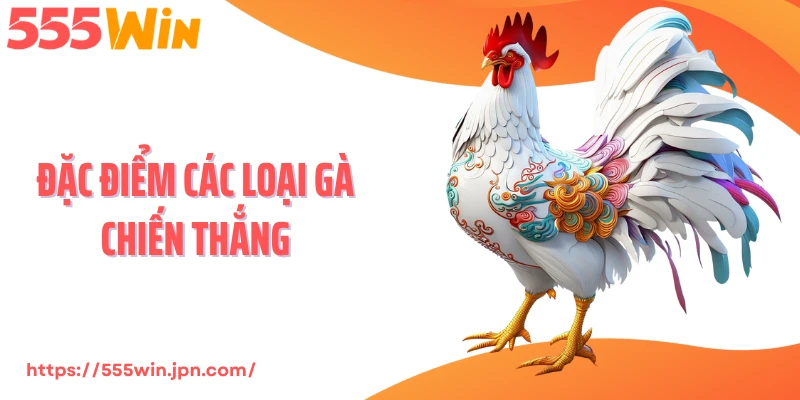 Đặc Điểm Các Loại Gà Chiến Thắng - Nhận Diện Chiến Kê Thật Sự