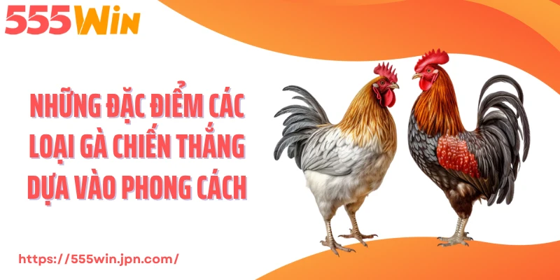 Những đặc điểm các loại gà chiến thắng dựa vào phong cách